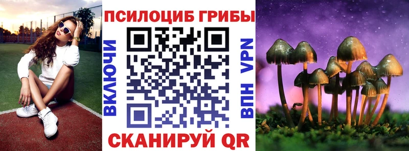 купить   Новоаннинский  Псилоцибиновые грибы MAGIC MUSHROOMS 
